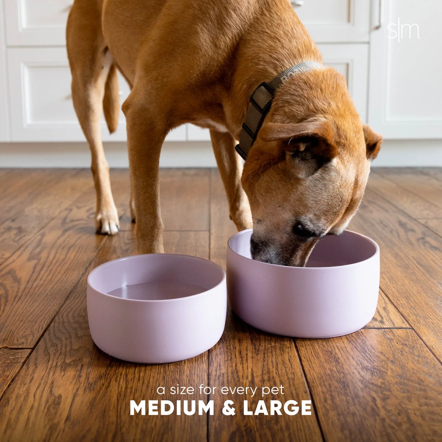 Bentley Pet Bowl - Image 6