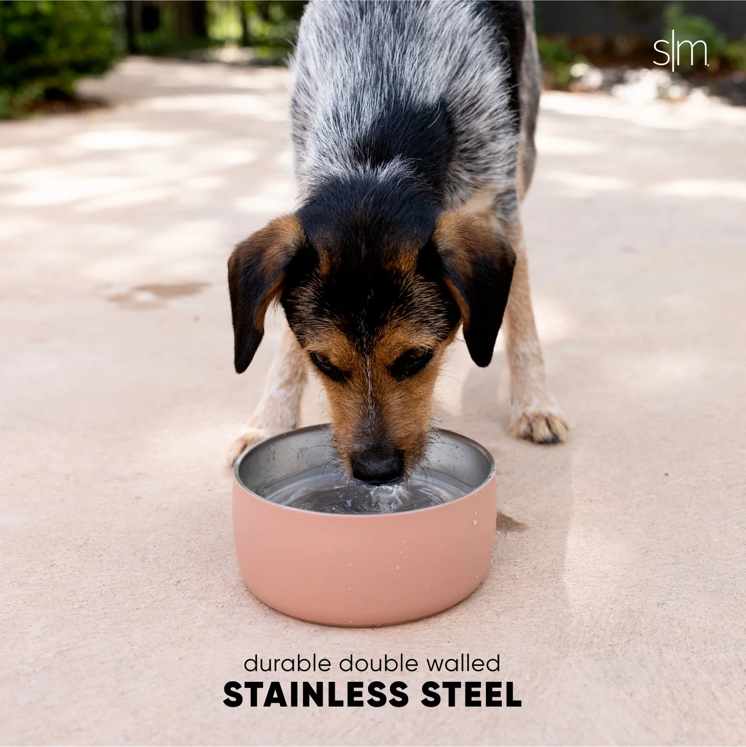 Bentley Pet Bowl - Image 4