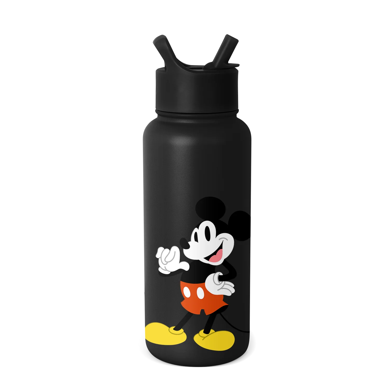 Disney Summit Water Bottle with Straw Lid