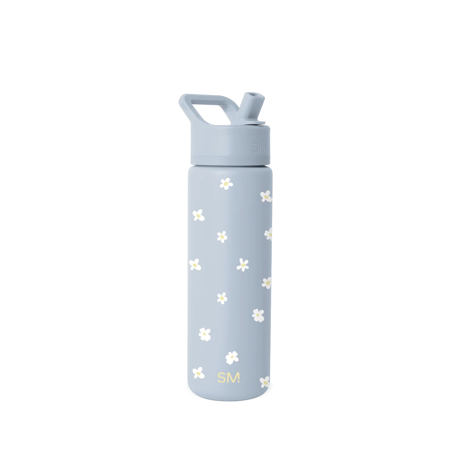 Summit Water Bottle with Straw Lid